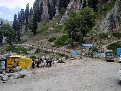 Apart from pilgrims, ponies will also be RFID tagged for better safety during Amarnath Yatra | Apart from pilgrims, ponies will also be RFID tagged for better safety during Amarnath Yatra