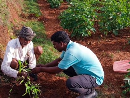Amazon to invest $15 mn in nature-based projects in Asia-Pacific | Amazon to invest $15 mn in nature-based projects in Asia-Pacific