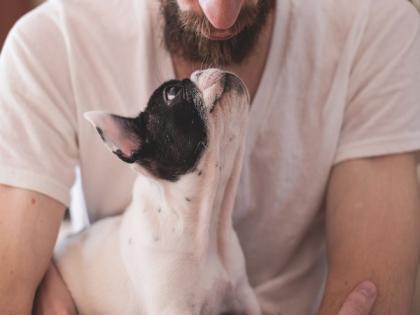 Study reveals living environment affects microbiota, health of both dogs and their owners | Study reveals living environment affects microbiota, health of both dogs and their owners