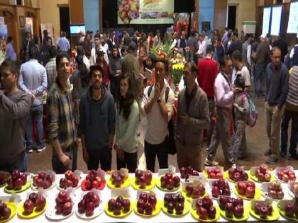 Two-day apple festival concludes in Shimla | Two-day apple festival concludes in Shimla Two-day apple festival concludes in Shimla | Two-day apple festival concludes in Shimla