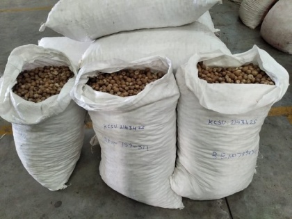 Areca nuts worth Rs 3.25 crore seized at Andhra's Krishnapatnam Port | Areca nuts worth Rs 3.25 crore seized at Andhra's Krishnapatnam Port
