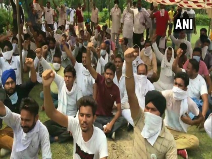 Farmers stage protest in Ambala to oppose agriculture ordinances passed by Union Cabinet | Farmers stage protest in Ambala to oppose agriculture ordinances passed by Union Cabinet