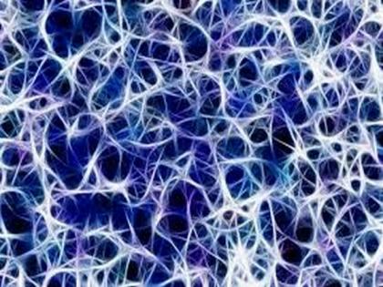 Protein produced by nervous system may help treatments for inflammatory diseases: Study | Protein produced by nervous system may help treatments for inflammatory diseases: Study Protein produced by nervous system may help treatments for inflammatory diseases: Study | Protein produced by nervous system may help treatments for inflammatory diseases: Study