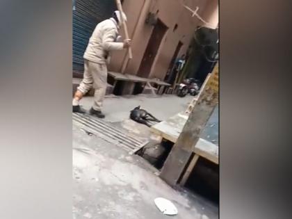 Delhi cop sent to district lines for thrashing stray dog | Delhi cop sent to district lines for thrashing stray dog