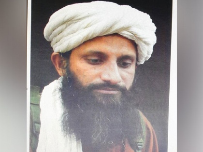 Taliban rejects Afghan govt's claims of killing Al-Qaeda's Indian subcontinent chief Asim Umar | Taliban rejects Afghan govt's claims of killing Al-Qaeda's Indian subcontinent chief Asim Umar