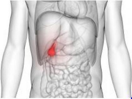 Immunotherapy after bladder cancer surgery may reduce recurrence, study shows | Immunotherapy after bladder cancer surgery may reduce recurrence, study shows