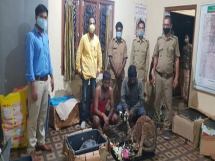 Two detained in possession of exotic animals in Assam's forest: Police | Two detained in possession of exotic animals in Assam's forest: Police