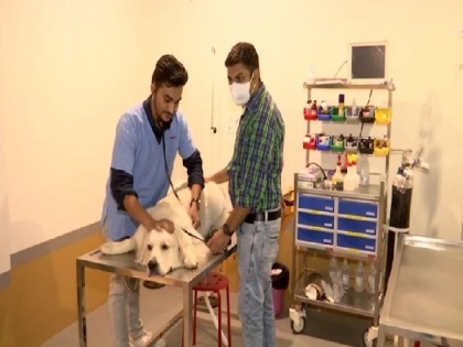 After losing his dog, Gujarat man opens India's first veterinary ventilator hospital in Ahmedabad | After losing his dog, Gujarat man opens India's first veterinary ventilator hospital in Ahmedabad
