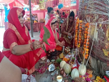 Women take holy dip in River Ganga, offer prayers to banyan tree on 'Vat Savitri Puja' in Prayagraj | Women take holy dip in River Ganga, offer prayers to banyan tree on 'Vat Savitri Puja' in Prayagraj