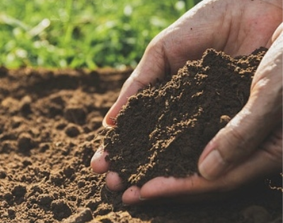 AI can help predict influence of microplastics on soil properties | AI can help predict influence of microplastics on soil properties AI can help predict influence of microplastics on soil properties | AI can help predict influence of microplastics on soil properties