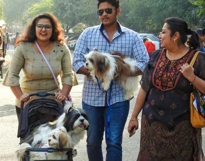 Indian pets owners highly aware of viruses, few clean homes daily: Report | Indian pets owners highly aware of viruses, few clean homes daily: Report