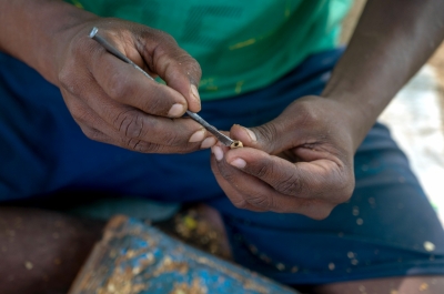 'No forensic examination': Kerala HC quashes proceedings against man accused of smoking ganja | 'No forensic examination': Kerala HC quashes proceedings against man accused of smoking ganja 'No forensic examination': Kerala HC quashes proceedings against man accused of smoking ganja | 'No forensic examination': Kerala HC quashes proceedings against man accused of smoking ganja