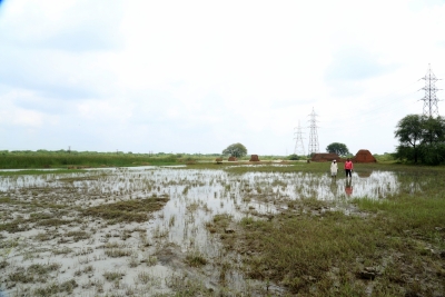 'Thermal power plants in Nagpur dist cause water pollution' | 'Thermal power plants in Nagpur dist cause water pollution' 'Thermal power plants in Nagpur dist cause water pollution' | 'Thermal power plants in Nagpur dist cause water pollution'