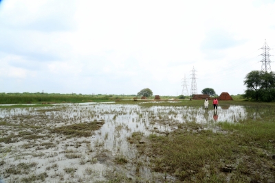 'Thermal power plants in Nagpur dist cause water pollution' | 'Thermal power plants in Nagpur dist cause water pollution'