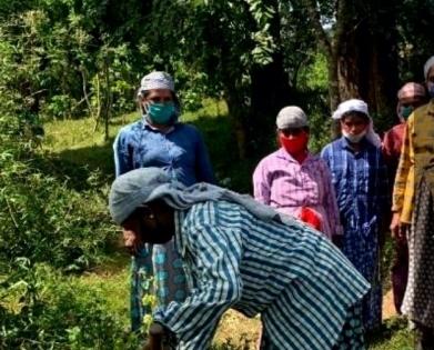 To prevent further devastation from floods, Kerala’s Wayanad turns to bamboo | To prevent further devastation from floods, Kerala’s Wayanad turns to bamboo To prevent further devastation from floods, Kerala’s Wayanad turns to bamboo | To prevent further devastation from floods, Kerala’s Wayanad turns to bamboo