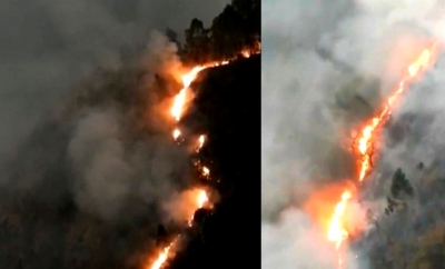 Fire erupts in TN's Kodaikanal forest area | Fire erupts in TN's Kodaikanal forest area