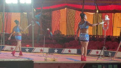Kerala Police file FIR against Great Bombay Circus over cruelty to performing birds | Kerala Police file FIR against Great Bombay Circus over cruelty to performing birds