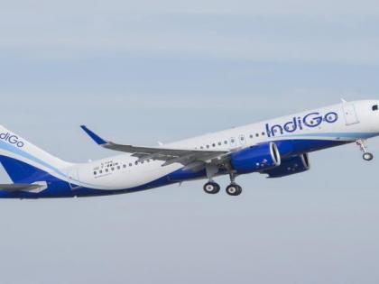 IndiGo posts Rs 189cr net profit in July-Sep quarter | IndiGo posts Rs 189cr net profit in July-Sep quarter IndiGo posts Rs 189cr net profit in July-Sep quarter | IndiGo posts Rs 189cr net profit in July-Sep quarter