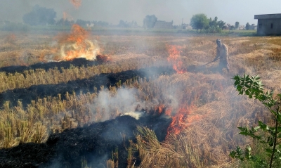 Punjab frames strategy to deal with stubble burning | Punjab frames strategy to deal with stubble burning