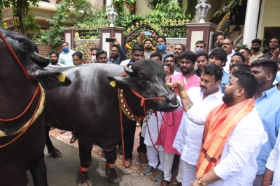 'Baahubali', 'Shahrukh' hog limelight at Hyderabad's buffalo carnival | 'Baahubali', 'Shahrukh' hog limelight at Hyderabad's buffalo carnival