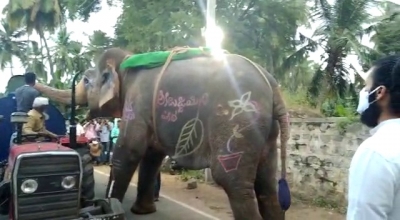 K'taka: Video of elephant stopping water tanker goes viral | K'taka: Video of elephant stopping water tanker goes viral