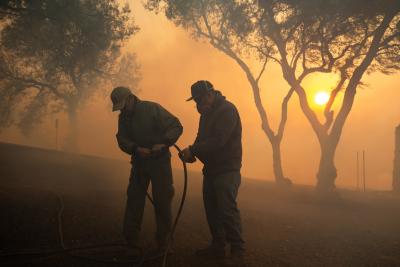 Wildfire in US Northern California 40% contained | Wildfire in US Northern California 40% contained