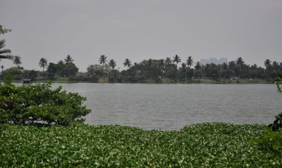 No electricity or water connection to new illegal constructions on Kolkata's wetlands: Calcutta HC | No electricity or water connection to new illegal constructions on Kolkata's wetlands: Calcutta HC No electricity or water connection to new illegal constructions on Kolkata's wetlands: Calcutta HC | No electricity or water connection to new illegal constructions on Kolkata's wetlands: Calcutta HC