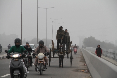 Biting cold wave, fog disrupts normal life in UP | Biting cold wave, fog disrupts normal life in UP Biting cold wave, fog disrupts normal life in UP | Biting cold wave, fog disrupts normal life in UP