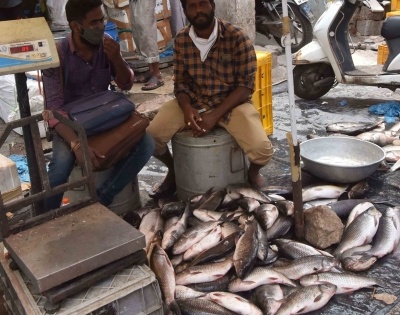 Fish markets, cricket and no masks: Have Maha, south failed India's fight against Covid? | Fish markets, cricket and no masks: Have Maha, south failed India's fight against Covid?