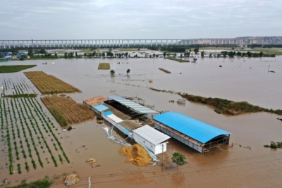 China's Yellow River to face higher risk of summer floods: Authorities | China's Yellow River to face higher risk of summer floods: Authorities