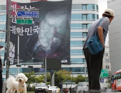 Bill calling for dog meat consumption ban proposed at Seoul city council | Bill calling for dog meat consumption ban proposed at Seoul city council