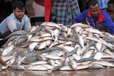 Fish production reaches all-time high, shows data | Fish production reaches all-time high, shows data