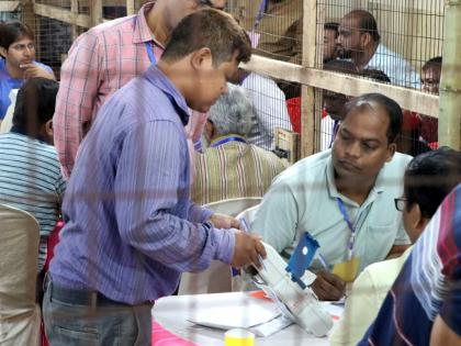 Counting underway in Chhattisgarh: Congress ahead of BJP as per early trends | Counting underway in Chhattisgarh: Congress ahead of BJP as per early trends