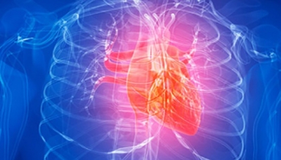 Heart disease death rates up during pandemic, young adults at most risk: US CDC | Heart disease death rates up during pandemic, young adults at most risk: US CDC