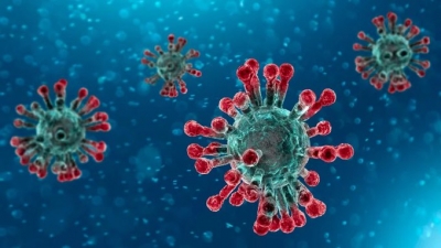 Large firms benefited at the cost of smaller, unorganised ones during pandemic | Large firms benefited at the cost of smaller, unorganised ones during pandemic Large firms benefited at the cost of smaller, unorganised ones during pandemic | Large firms benefited at the cost of smaller, unorganised ones during pandemic
