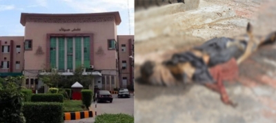 Pak in shock after scores of rotting corpses found on hospital's roof | Pak in shock after scores of rotting corpses found on hospital's roof