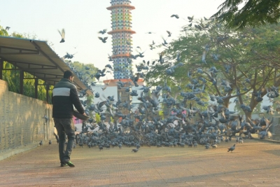 Seven storey tower for birds comes up in Rajathan's Nagaur | Seven storey tower for birds comes up in Rajathan's Nagaur