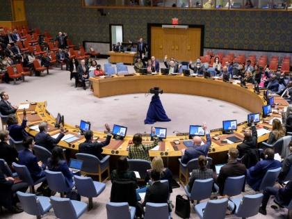 UNSC fails again to act on Gaza as duelling Russian, US resolutions fail | UNSC fails again to act on Gaza as duelling Russian, US resolutions fail