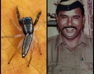New spider species named after 26/11 martyr who caught Kasab | New spider species named after 26/11 martyr who caught Kasab
