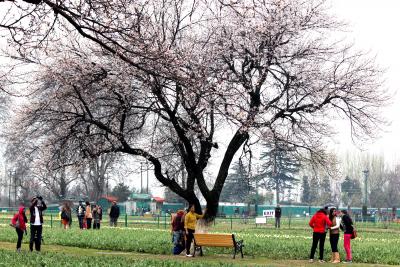 Dry weather with partly cloudy sky likely in J&K | Dry weather with partly cloudy sky likely in J&K