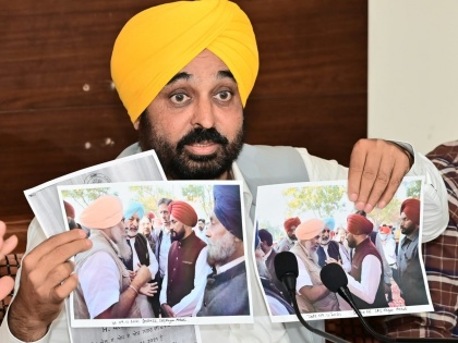 Channi's nephew demanded Rs 2 cr from cricketer for govt job: Bhagwant Mann | Channi's nephew demanded Rs 2 cr from cricketer for govt job: Bhagwant Mann