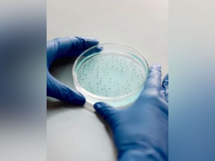 Scientists discover new type of 'plastic-loving bacteria' | Scientists discover new type of 'plastic-loving bacteria'