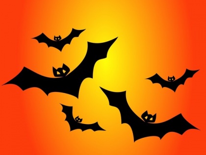 Vampire bats practise social distancing when they get sick | Vampire bats practise social distancing when they get sick