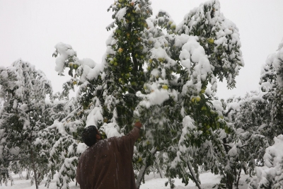 MeT issues advisory for moderate to heavy snowfall in J&K, Ladakh | MeT issues advisory for moderate to heavy snowfall in J&K, Ladakh