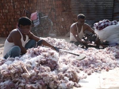 Gujarat farmers cry foul as cotton prices drop, traders say market is dull | Gujarat farmers cry foul as cotton prices drop, traders say market is dull