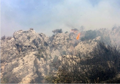 Forest fire in Turkey bright under control after 2 days | Forest fire in Turkey bright under control after 2 days