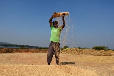 India to see record kharif output growth, foodgrain production to cross 173 million tonnes | India to see record kharif output growth, foodgrain production to cross 173 million tonnes India to see record kharif output growth, foodgrain production to cross 173 million tonnes | India to see record kharif output growth, foodgrain production to cross 173 million tonnes