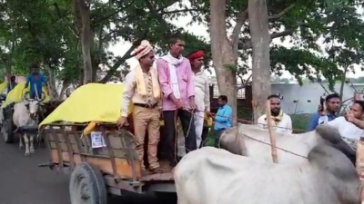 Blast from the past: 'Baraat' goes on bullock cart | Blast from the past: 'Baraat' goes on bullock cart