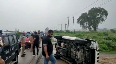 Cows, buffaloes caused accident of car carrying Dubey, claims STF | Cows, buffaloes caused accident of car carrying Dubey, claims STF