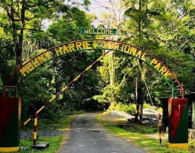 Celebrations in Manipur for renaming Andman's Mount Harriet Park | Celebrations in Manipur for renaming Andman's Mount Harriet Park